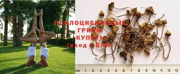 прущие крисы Остров