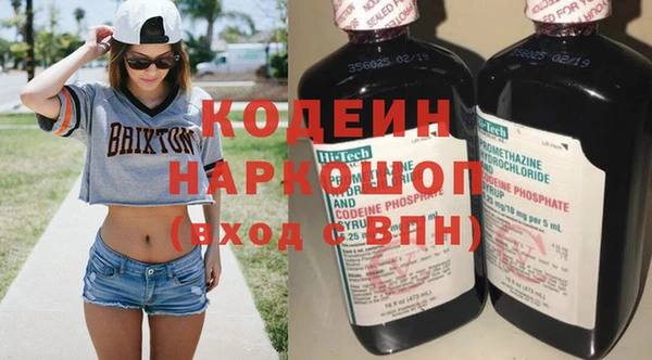 индика Нязепетровск