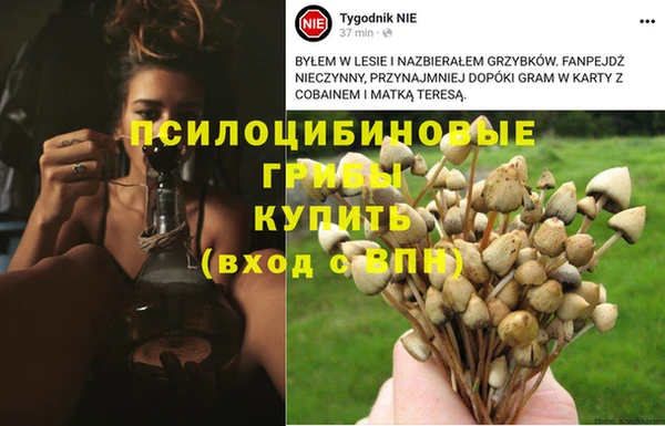 спайс Осинники